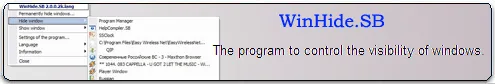 Program for management of visibility of windows Program for management of visibility of windows